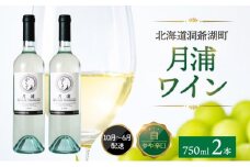 北海道 洞爺湖町産 月浦ワイン 白 750ml×2本 ミュラートゥルガウ 白ワインお酒 アルコール ブドウ酒 自社農園 家飲み お祝い 記念日 贈答用 ギフト 月浦ワイナリー 送料無料