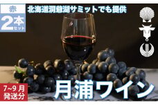 月浦ワイン 赤750ml×2本　7月～9月配送［冷蔵］赤ワイン