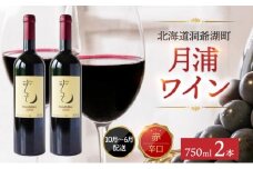 北海道 月浦ワイン 赤 750ml×2本 ドルンフェルダー 赤ワインお酒 アルコール ブドウ酒 自社農園 家飲み お祝い 記念日 贈答用 ギフト 月浦ワイナリー 送料無料