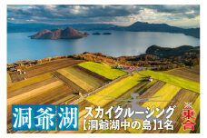 2025洞爺湖スカイクルージング約6分【洞爺湖中の島】1名様