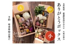 旬の野菜詰め合わせ ～ありがとうBOX2025・小～ 12月1日～1月31日頃お届け 北海道 野菜 やさい 詰め合わせ セット 北海道産 常備菜 加工品 自然栽培 佐々木ファーム 産地直送 洞爺湖町