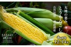 北海道産 とうもろこし 4kg前後 12-14本 8月30日から9月25日まで順次出荷 北海道 トウモロコシ とうきび 旬 完熟 朝もぎ 野菜 産地直送 お取り寄せ 佐々木ファーム 送料無料 洞爺湖