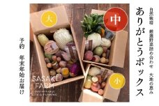 旬の野菜詰め合わせ ～ありがとうBOX2025・中～ 12月1日～1月31日頃お届け 北海道 野菜 やさい 詰め合わせ セット 北海道産 常備菜 加工品 自然栽培 佐々木ファーム 産地直送 洞爺湖町