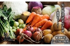 〈自然栽培〉佐々木ファーム 旬の野菜詰め合わせ ～循環セット～ 厳選野菜7-10品目程度 3月よりお届け やさい 直送 北海道 洞爺湖町