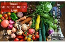 [5回お届け 5月・7月・9月・11月・3月 定期便]〈自然栽培〉佐々木ファーム 旬の野菜詰め合わせ ～循環セット～ 厳選野菜7-10品目程度