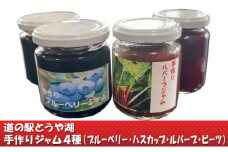 道の駅とうや湖 手づくり ジャム4種セット(ブルーベリー・ハスカップ・赤ルバーブ・ビーツ)