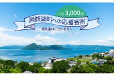 洞爺湖町 寄附のみの応援受付 3,000円コース（返礼品なし 寄附のみ 3000円）