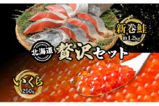 北海道 贅沢2種セット 低温熟成新巻鮭切り身 約1.2kg いくら醤油漬け250g 2025年2月順次出荷 鮭 サケ シャケ しゃけ サーモン 切り身 いくら イクラ 醤油漬け 海鮮 海産物 魚介