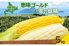 北海道 月浦 めぐみ ゴールド 雪の妖精 5kg 先行受付 8月中旬～9月中旬頃にお届け とうもろこしトウモロコシ とうきび コーン 恵味 スイート コーン 旬 野菜 朝採り 産地直送 青山農園 送料無料 洞爺湖