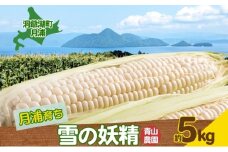 北海道 洞爺湖町 月浦 雪の妖精 5kg 先行受付 8月中旬～9月中旬頃にお届け とうもろこしトウモロコシ とうきび スイート コーン 旬 野菜 甘い 大粒 人気 朝採り 産地直送 青山農園 送料無料 洞爺湖
