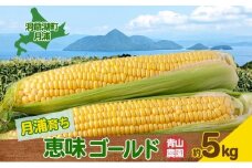 北海道 月浦 めぐみ ゴールド 5kg 先行受付 8月中旬～9月中旬頃にお届け とうもろこしトウモロコシ とうきび 恵味 スイート コーン 旬 野菜 甘い 大粒 人気 朝採り 産地直送 青山農園 送料無料 洞爺湖