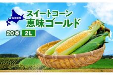 北海道産 スイート コーン めぐみゴールド 2Lサイズ 20本 先行受付 8月上旬～末頃のお届け とうもろこし 恵味 めぐみ トウモロコシ 旬 完熟 朝もぎ 野菜 産地直送 お取り寄せ 北海道 丸田農園 送料無料 洞爺湖