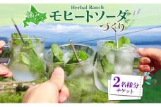 北海道 モヒート ソーダ 作り 体験 2枚 ハーブ ミント サイダー ノンアルコール ノンアル オリジナル  天然  リラックス 癒し リラクゼーション ハーバルランチ 送料無料 洞爺湖