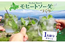 北海道 モヒート ソーダ 作り 体験 ハーブ ミント サイダー ノンアルコール ノンアル オリジナル  天然  リラックス 癒し リラクゼーション 健康 ハーバルランチ 送料無料 洞爺湖