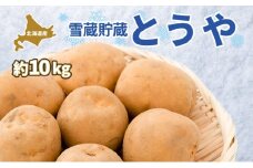 北海道 雪蔵 とうや  L～LM 約10kg 2026年2月中旬より順次お届け じゃがいも ジャガイモ じゃが芋 馬鈴薯 芋 いも イモ 旬 雪蔵貯蔵 野菜 農作物 カレー シチュー肉じゃが 北海道産 丸田農園 送料無料