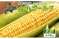 北海道 とうもろこし 恵味ゴールド 約10kg 22本入り 2025年8月11日～9月10日頃お届け トウモロコシ コーン 甘い 産地直送 BBQ とうきび 国産 人気 バーベキュー 焼きとうもろこし お取り寄せ 北海道産 洞爺湖町