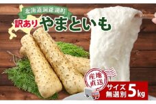 北海道産 やまといも 5kg 訳あり 2024年12月中旬～2025年3月末お届け 野菜 大和芋 とろろ芋 芋 いも とろろ 山芋 旬 北海道 洞爺湖町 野菜 農作物 お取り寄せ 産地直送 送料無料