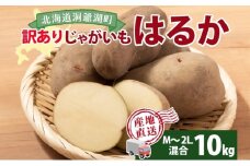 北海道産 じゃがいも はるか 10kg M～2L混合 訳あり 2024年12月中旬～2025年3月末お届け 野菜 ジャガイモ 馬鈴薯 芋 いも 旬 北海道 洞爺湖町 肉じゃが カレー コロッケ 野菜 農作物 お取り寄せ