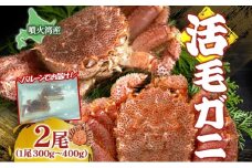 北海道 噴火湾産 活毛がに 2尾 （1尾300g～400g） 2025年6月下旬～8月中旬お届け 先行受付 北海道産 旬 新鮮 毛がに かに カニ 蟹 毛ガニ 毛蟹 カニ味噌 天然 噴火湾 産地直送 お取り寄せ 贈答 冷蔵 洞爺湖町