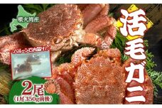 先行受付 北海道 噴火湾産 活毛がに 350g前後×2尾 2026年6月下旬～7月上旬お届け 北海道産 旬 新鮮 毛がに かに カニ 蟹 毛ガニ 毛蟹 カニ味噌 天然 噴火湾 産地直送 お取り寄せ 冷蔵 洞爺湖町	