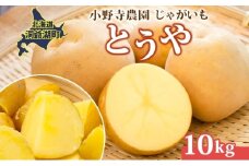 じゃがいも とうや 10kg 10月初旬～12月中旬ごろお届け ホクホク 甘い ポテトサラダ コロッケ 産地直送 お取り寄せ 国産 小野寺農園 北海道 洞爺湖町
