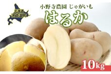 じゃがいも はるか 10kg しっとり 甘い 10月初旬～12月中旬ごろお届け カレーライス 肉じゃが 産地直送 お取り寄せ 国産 小野寺農園 北海道 洞爺湖町