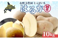 じゃがいも 越冬はるか 10kg 2026年1月中旬～3月下旬ごろお届け しっとり 甘い ロースト じゃがバター 産地直送 お取り寄せ 国産 小野寺農園 北海道 洞爺湖町