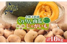 南瓜 くりりん じゃがいも 計10kg 10月初旬～10月下旬ごろ お届け ホクホク 甘い 栗 ホクホク 産地直送 お取り寄せ 国産 小野寺農園 北海道 洞爺湖町