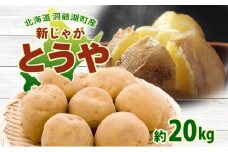 北海道 洞爺湖町産 新じゃがいも とうや 約20kg  Mサイズ以上混載 北海道産 新じゃが じゃがいも いも ジャガイモ 馬鈴薯 黄爵 芋 旬 野菜 農作物 送料無料 産地直送 常温 洞爺湖町