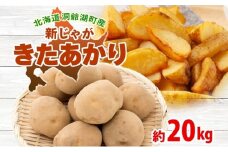 北海道 洞爺湖町産 新じゃがいも きたあかり 約20kg  Mサイズ以上混載 北海道産 新じゃが じゃがいも いも ジャガイモ 馬鈴薯 黄爵 芋 旬 野菜 農作物 送料無料 産地直送 常温 洞爺湖町