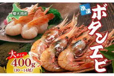 北海道 噴火湾産 冷凍ボタンエビ 大サイズ 400g 10～14尾 ボタンエビ エビ えび 海老 北海道産 旬 ぼたんえび 刺身 牡丹海老 海鮮 魚介 甲殻類 味噌汁 鍋 海鮮丼 冷凍 洞爺湖町