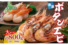 北海道 噴火湾産 冷凍ボタンエビ 大サイズ 計800g 20～28尾 ボタンエビ エビ えび 海老 北海道産 旬 ぼたんえび 刺身 牡丹海老 海鮮 魚介 甲殻類 味噌汁 鍋 海鮮丼 冷凍 洞爺湖町