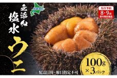 【先行予約】北海道 無添加塩水 ウニ 100g 3パック 11月上旬～12月上旬頃まで順次出荷 バフン ムラサキ うに 雲丹 海鮮 小川商店