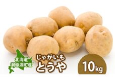 じゃがいも とうや 10kg  9月上旬～12月中旬までお届け ジャガイモ 芋 甘い なめらか しっとり ポタージュ カレー 調理 料理 煮込み料理 旬 季節 農作物 野菜 根菜 北海道 とうや湖農業協同組合