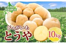 とうや 10kg 2025年9月上旬～12月中旬までお届け ジャガイモ 芋 甘い ホクホク なめらか ポテト カレー 調理 料理 煮込み料理 旬 野菜 お取り寄せ 北海道 洞爺湖町