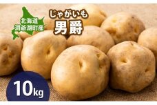 じゃがいも 男爵 10kg 9月上旬～12月中旬までお届け ジャガイモ 芋 甘い なめらか しっとり ポタージュ カレー 調理 料理 煮込み料理 旬 季節 農作物 野菜 根菜 北海道 とうや湖農業協同組合 