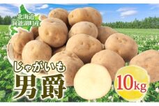 男爵 10kg 2025年9月上旬～12月中旬までお届け ダンシャク コロッケ ジャガイモ 芋 甘い ホクホク ポテト カレー 調理 料理 煮込み料理 旬 野菜 お取り寄せ 北海道 洞爺湖町