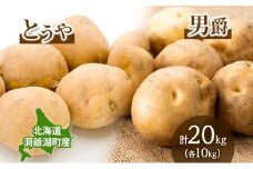 じゃがいも とうや 男爵 各10kg×1 計20kg 9月上旬～12月中旬までお届け ジャガイモ 芋 甘い なめらか しっとり ポタージュ カレー 調理 料理 煮込み料理 旬 季節 農作物 野菜 根菜 北海道 とうや湖農業協同組合 