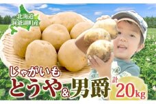 じゃがいも2種セット 計20kg とうや 男爵 2025年9月上旬～12月中旬までお届け ジャガイモ 芋 甘い ホクホク ポテト カレー 調理 料理 煮込み料理 旬 野菜 お取り寄せ 北海道 洞爺湖町