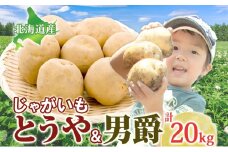 じゃがいも2種セット 計20kg とうや 男爵 2025年9月上旬～12月中旬までお届け ジャガイモ 芋 甘い ホクホク ポテト カレー 調理 料理 煮込み料理 旬 野菜 お取り寄せ 北海道 洞爺湖町