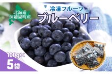 役に立ちます 冷凍カット果物 ブルーベリー100g×5袋 9月初旬よりお届け 冷凍 カット 果物 小分け 時短 弁当 簡単 調理 便利  国産 北海道 洞爺湖町