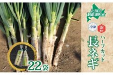 【大容量】役に立ちます 冷凍カット野菜 長ねぎ 訳あり 長ねぎ11本分(1/2本×22袋相当) 長ネギ 冷凍 カット 野菜 小分け 時短 弁当 簡単 調理 便利  国産 北海道 洞爺湖町