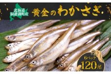 洞爺湖町産 黄金のわかさぎ 20尾×6P 計120尾 北海道産 ワカサギ わかさぎ 川魚 魚介類 産地直送 冷凍 お取り寄せ グルメ 料理 天ぷら フライ とうやマルシェ 北海道 洞爺湖町