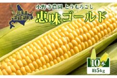 北海道 とうもろこし 恵味ゴールド 約5kg 10本入り 2026年8月11日～8月末頃お届け トウモロコシ コーン 甘い 産地直送 BBQ とうきび 国産 人気 バーベキュー お取り寄せ 北海道産 洞爺湖町 小野寺農園