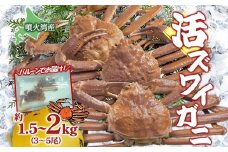 北海道 噴火湾産 活ズワイガニ 約1.5～2kg  （3～5尾） 2025年11月10日まで発送 北海道産 旬 新鮮 ずわいがに ズワイガニ  かに カニ 蟹 カニ味噌 天然 噴火湾 産地直送 お取り寄せ 贈答 冷蔵 洞爺湖町
