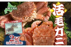 先行受付 北海道 噴火湾産 活毛がに 400g前後×2尾 2026年6月下旬～7月上旬お届け 北海道産 旬 新鮮 毛がに かに カニ 蟹 毛ガニ 毛蟹 カニ味噌 天然 噴火湾 産地直送 お取り寄せ 贈答 冷蔵 洞爺湖町