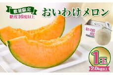 ＜2025年発送＞おいわけメロン 糖度16度以上 2.0kg以上×1玉(数量限定)【1102196】