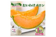 ＜2026年発送＞おいわけメロン 糖度16度以上 2.0kg以上×1玉(数量限定)【1102196】