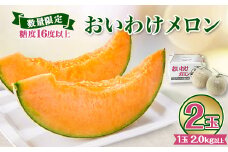 ＜2025年発送＞おいわけメロンパック 糖度16度以上 2.0kg以上×2玉(数量限定)【1102220】