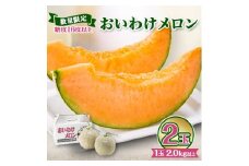 ＜2026年発送＞おいわけメロンパック 糖度16度以上 2.0kg以上×2玉(数量限定)【1102220】
